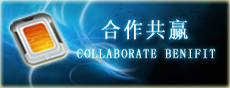 ������Ӯ